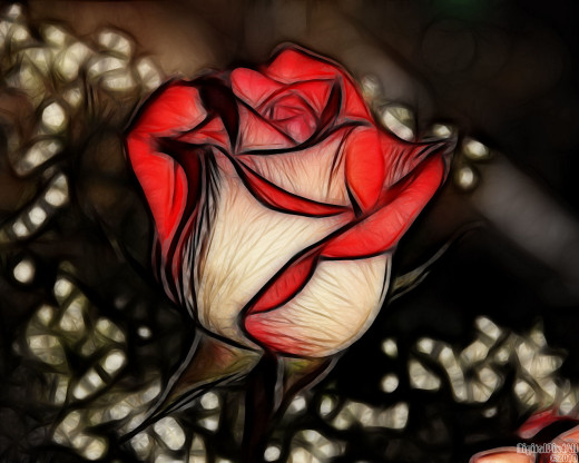19711 (a): :1280x1024